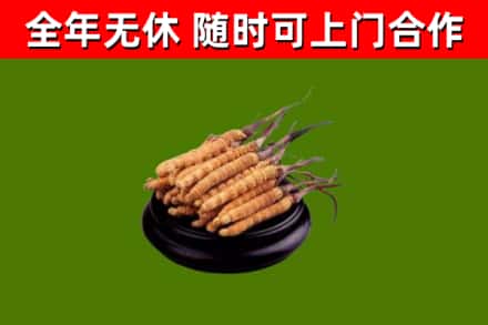 花溪回收冬虫夏草
